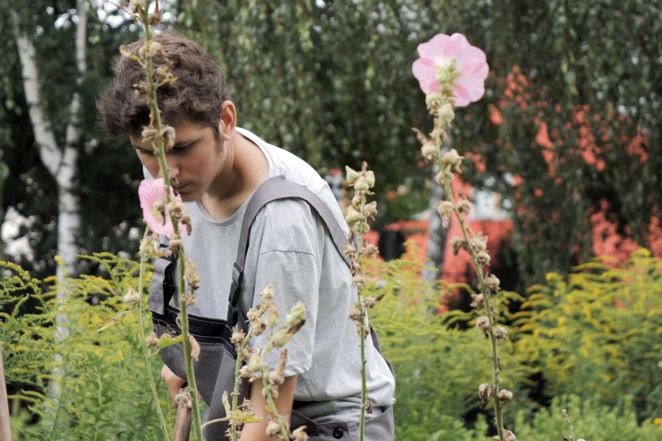 Ein Teenager-Junge in Latzhose beugt sich zu einem Blumenbeet herab, in dem lange Stängel mit pinken Blüten blühen