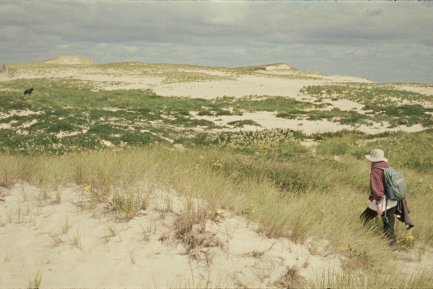 Filmstill Geographies of Solitude