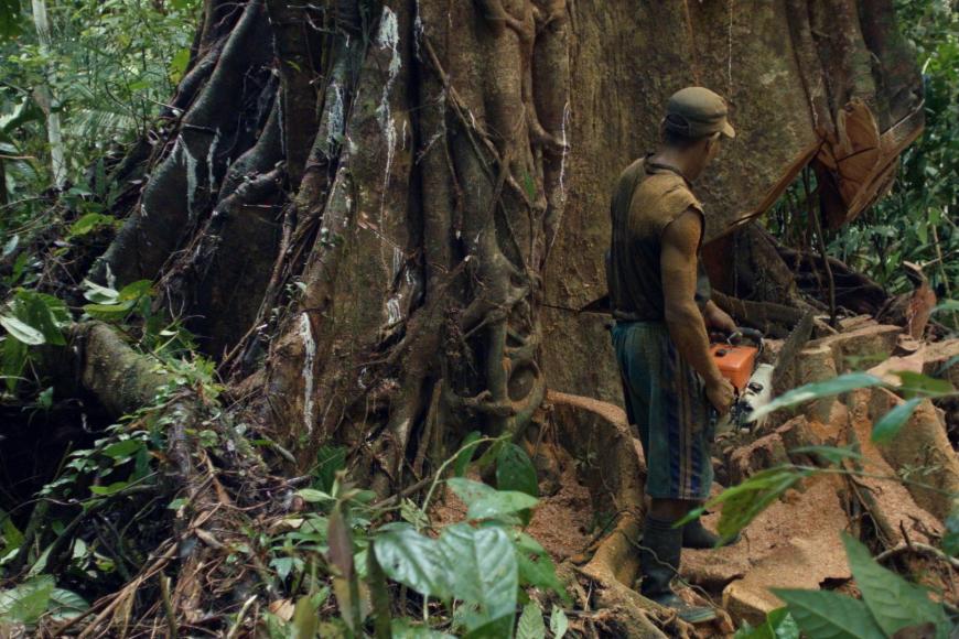 Filmstill Kayu Besi