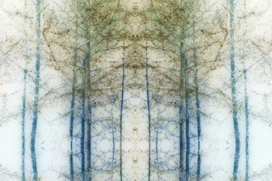 Media Name: a8297b60-2c9c-4695-89e2-c4ec01e39f31.png